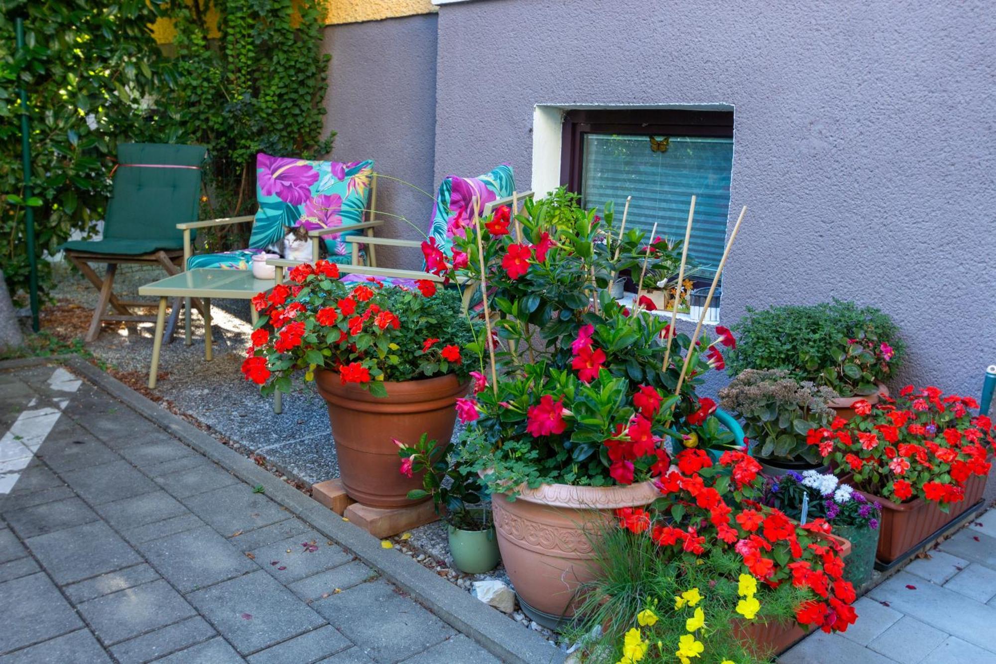Benjamins Refugium Apartment Залцбург Екстериор снимка